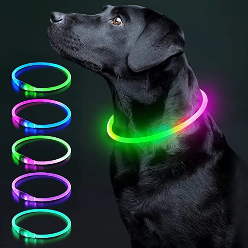 USB Rechargeable Luminous Collar Adjustable Led Glow