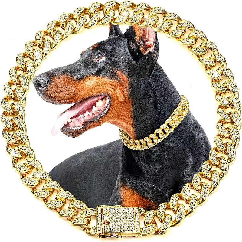 Luxury cuban collar